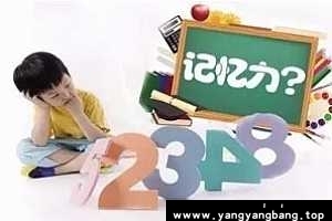 《60天打造全能记忆超人》视频资料(完整版)[AVI/379MB]百度网盘下载