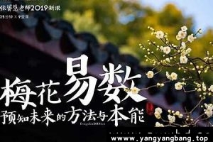 张赟慧《梅花易数导读》视频资料资源[MP4/689MB]百度网盘下载