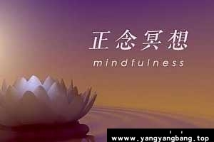 《立竿见影的风水课》简明家居风水讲座视频百度云网盘下载