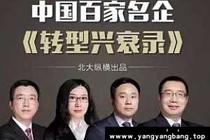 《中国百家名企转型兴衰录》百度云网盘资源分享下载