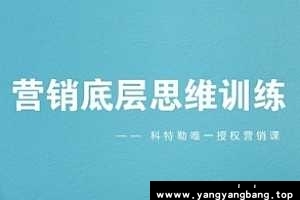 《科特勒营销底层思维训练》视频课程[MP4/2GB]百度网盘下载