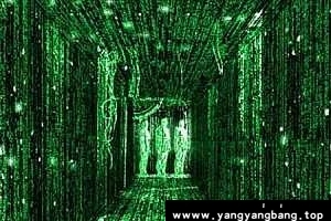 黑客教程-黑客零基础入门到大神教程视频+电子书合集[PDF/WMV/MP4/38GB]百度云网盘下载