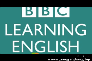 《英式音标发音》学习资料[MP3/MP4/PDF/755MB]百度网盘下载