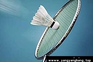 《羽毛球教学视频课程》资源资料分享[MKV/12GB]百度网盘下载