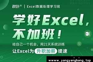 《秋叶Excel数据处理学习班》学习视频课程合集百度云网盘下载