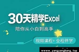 金桥 30天精学Excel 百度云网盘资源分享下载[MP4/1.83GB]