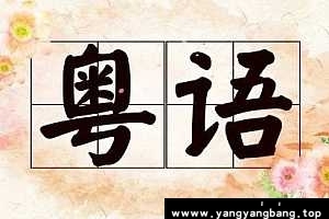 《粤语学习从入门到精通》视频教程[MP4/29GB]百度网盘下载