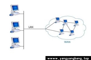 《计算机网络简明教程》视频36集合集[MP4/3GB]百度网盘下载
