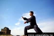 陈氏《太极拳七十四式》视频资源资料[MP4/2GB]百度网盘下载