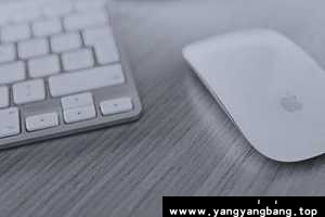 《PPT速成教程69讲》视频资料+1000个模版[MP4/21GB] 百度网盘下载