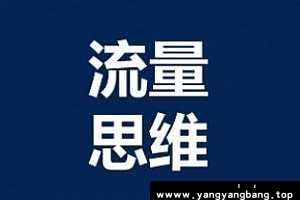 《蚊子团队流量思维》视频课程合集[MP4/PDF/841MB]百度云网盘下载