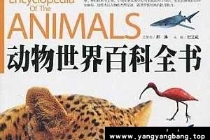 动物世界百科全书 PDF电子版百度云网盘下载[PDF/62.36MB]