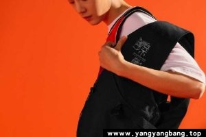 《肖战》40首歌曲音乐[MP3/268MB]百度网盘下载