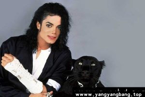 《迈克尔杰克逊》51首MV高清视频[AVI/5GB]百度云网盘下载