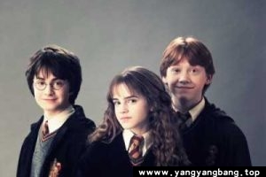 《哈利波特》全1-8部高清视频合集国英双语中字[42G]百度云网盘下载