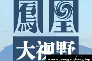 《凤凰大视野》节目视频2004年-2019年资料资源百度网盘下载