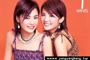 《Twins组合》全部电影视频合集+演唱会[MP4/48GB]云网盘下载