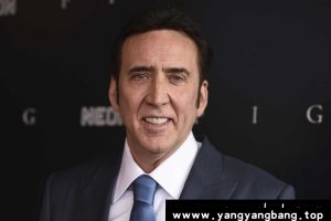 美剧《尼古拉斯凯奇》所有高清电影合集[MP4/48GB]云网盘下载