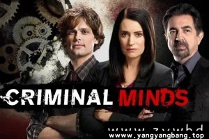 美剧《犯罪心理》1-16季高清视频合集中文字幕云网盘下载