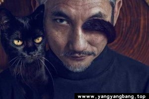 《徐克/Hark Tsui》导演全部电影视频合集[MP4/358GB]云网盘下载