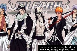 动漫《死神》TV366话+OVA2+4部剧场版+千年血战国视频合集国日双语中字[MKV/396]云网盘下载