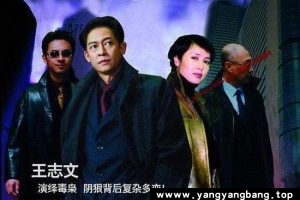 电视剧《黑冰》王志文完整无删减版全集高清视频[MP4/42G]云网盘下载