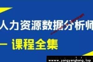 王佩军《人力资源数据分析》系列培训课程视频全集百度云网盘下载