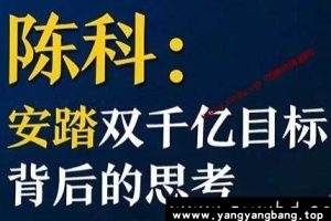 安踏企业战略双千亿目标背后的战略思考视频培训课程讲座MP4百度云网盘下载