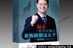 臧其超《狼企经营玄机之-老板就要这么干》百度云网盘下载