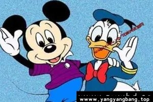 国语版《米老鼠和唐老鸭》高清视频全85集[MP4/3GB]百度云网盘下载