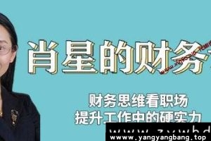 《肖星的财务课-看职场-提升硬实力》视频课程百度云网盘下载