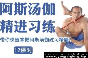 《索汉 阿斯汤加》精进练习视频教程百度云网盘下载