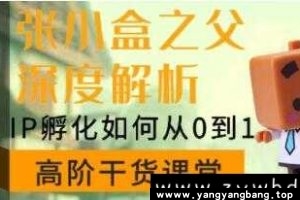 陈格雷《张小盒之父深度讲解，IP孵化如何从0到1》视频MP4百度云网盘下载