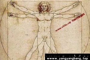 BBC纪录片《达芬奇》视频3集英语外挂中字[AVI/3GB]百度云网盘下载