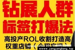 逐鹿《钻展人群标签打爆法》高投产ROL收割打造高权重店铺百度网盘下载