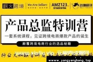 跨境《产品总监特训营》[MP4/27G]视频资料资源百度网盘下载