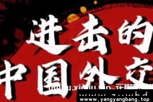 金灿荣《进击的中国外交》视频百度云网盘下载