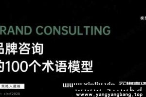 《品牌咨询100个术语模式》资料百度云网盘下载