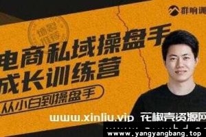 群响《电商私域操盘手成长训练营》MP4百度云网盘下载