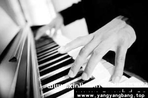 《钢琴学习视频合集》入门/考级/大师资料资源[MP4]阿里云网盘下载