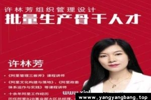 许林芳《批量生产骨干人才》组织管理视频资料资源百度网盘下载
