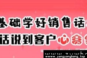 销售技巧和话术《0基础学好销售话术，把话说到客户心窝里》百度网盘下载