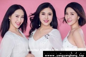 《黑鸭子》39张专辑歌曲无损音乐合集[FLAC/WAV/14G]百度云网盘下载