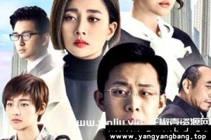 电视剧《鸡毛飞上天》全55集超清视频合集[MP4/98GB]云网盘下载