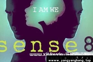 美剧《超感猎杀》全1-2季+完结特别篇高清视频英语中字[MP4/31GB]云网盘下载