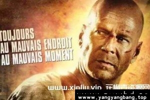 美剧《虎胆龙威》全1-5部高清视频合集英语中字[MP4/39GB]云网盘下载