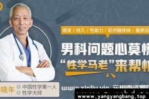 马晓年《12堂课全面掌握男性健康问题》视频资料百度云网盘下载