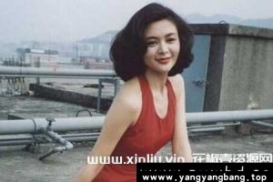 《关之琳》主演电影全部高清视频合集[MKV/MP4/71GB]云网盘下载