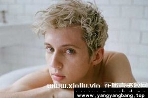 戳爷/Troye Sivan 37张专辑/单曲歌曲合集[FLAC/MP3]百度网盘下载