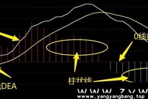 《指标之王MACD指标应用合集》详解教程学习视频百度云网盘下载